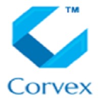 Corvex Analytics and Consulting logo - Similar company to Business In Tandem Limited