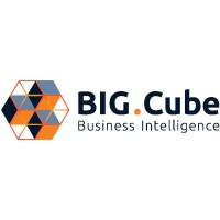 BIG.Cube logo - Similar company to Caleo Consulting Gmbh