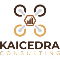 Kaicedra Consulting SAS logo - Similar company to Codetherapy