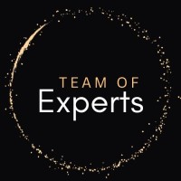 Team of Experts logo - Similar company to Gipse - Groupement Ivoirien Des Professionnels De La Sécurité Electronique