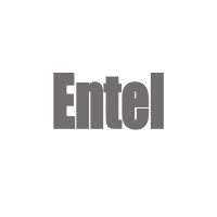 Entel logo - Similar company to Decenternet Technologies Corp.