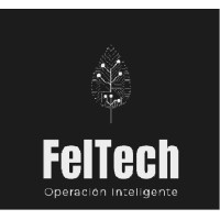 FelTechSpa logo - Similar company to Koena Tec