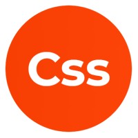 CSS - Connection Soft Service logo - Similar company to Soft Service Solutions Limited