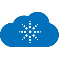 NIVIS Solutions logo - Similar company to Nivi Software