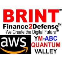 30-Year Global Post AI-Quantum Finance & Trading Networks Pioneer Global Risk Management Network LLC logo - Similar company to Fpt Camera Ai For Business