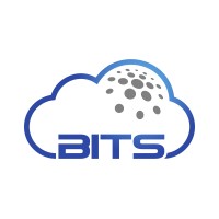 Brammer IT Services logo - Similar company to Fcg