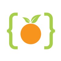 Code Orange logo - Similar company to Texas Csba