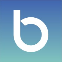 Boostlingo logo - Similar company to Voxcroft Analytics