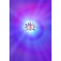 The Wilcox Center For Psychotherapy And The Healing Arts