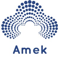 Amek Consulting logo - Similar company to Gesproa