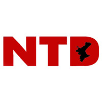 NTD Global logo - Similar company to Ntdd Technology