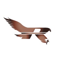 RAPTOR RESINS INC. logo - Similar company to Rapid Wing Technologies