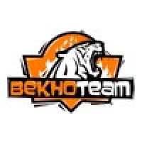 Bekho Team logo - Similar company to Cettic Simulators