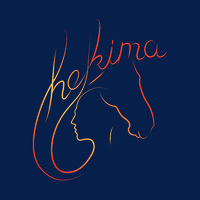 Hekima - coaching logo - Similar company to Mokam