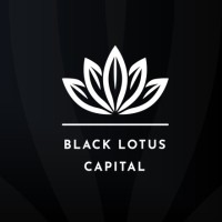 Black Lotus Capital logo - Similar company to Fincopy Solutions