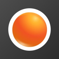 LineSoftTechnology logo - Similar company to R-Style Lab