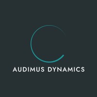 Audimus Consulting GmbH logo - Similar company to Mizei Gmbh