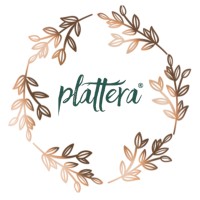 Plattera®️ logo - Similar company to Skd Design Studio