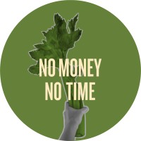 No Money No Time logo - Similar company to Hunter Clinical Services
