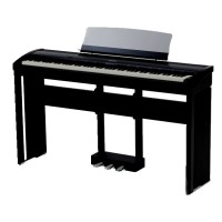 Digital Piano Malaysia logo - Similar company to Piano Distributors
