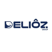 DELIÔZ GROUP logo - Similar company to Monaco Resources Group