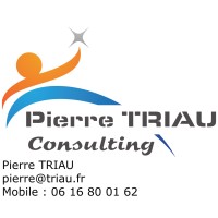 PIERRE TRIAU CONSULTING logo - Similar company to As Recrutement & Executive Search