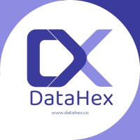 DataHex logo - Similar company to Quickjet Business Solution Private Limited