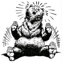 G.S.W.C. the Bares logo - Similar company to Druut.Com