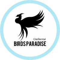Birdsparadise gUG (haftungsbeschränkt) logo - Similar company to Zenrise Gmbh