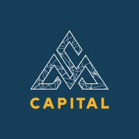 Mister Solution Capital logo - Similar company to Leon Creative