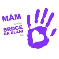 Srdce na dlani logo - Similar company to Ymca Slovakia