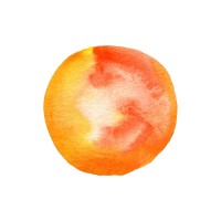 ProJuice Audio logo - Similar company to Projuice Sprl