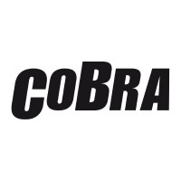 COBRA logo - Similar company to Growth Catalyst