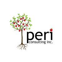 Peri Consulting Inc. logo - Similar company to Kip Information Technologies Inc.