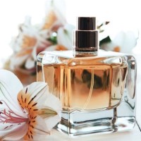 Baldatruche Clapitreau Parfum logo - Similar company to Elixir Parfum & Make-Up