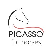 Picasso for horses logo - Similar company to Askovet