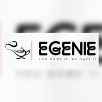 eGenie Stores logo - Similar company to Coachedbyhemant