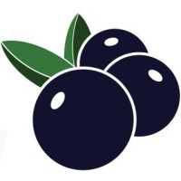 BidBerry logo - Similar company to Mainad