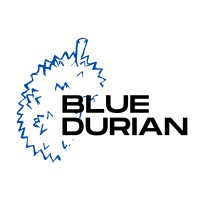 Blue Durian logo - Similar company to Link-Ware