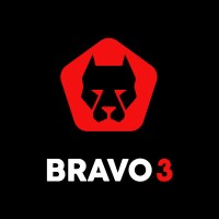 Bravo 3 logo - Similar company to Motlima Consultores