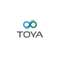 Toya Infrastructure logo - Similar company to Beyond