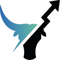 DIREKTIVO logo - Similar company to Bridge4Digital Latam