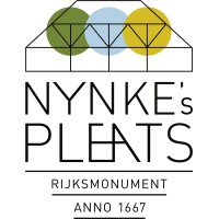 Nynke'S Pleats