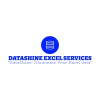 DataShine Excel Services logo - Similar company to Cas Computers