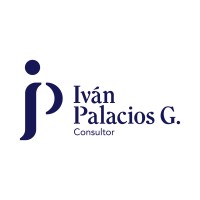 Ivan Palacios G. - Consultor