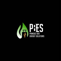 Pamodzi Bio Energy Solutions logo - Similar company to Irradiance