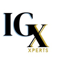 IGXperts logo - Similar company to Aspyr Partners