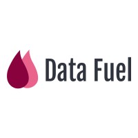 Data Fuel logo - Similar company to Datafuel