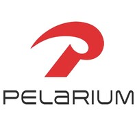 Pelarium Transportation Inc logo - Similar company to Km Alliance Logistics