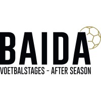 Baida logo - Similar company to Eagl
